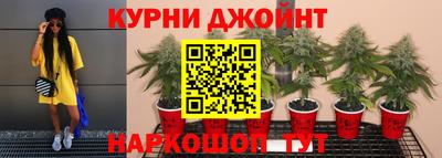 крисы Татарск