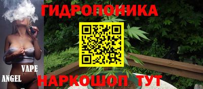 крисы Татарск