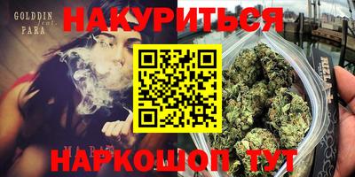 крисы Тверь