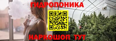 крисы Тверь