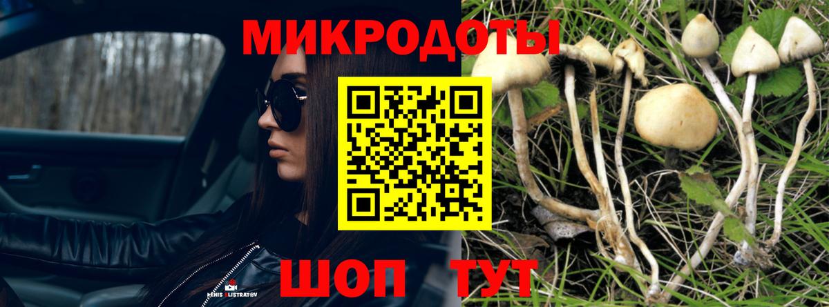 Галлюциногенные грибы мицелий  Вход с VPN  Полысаево 